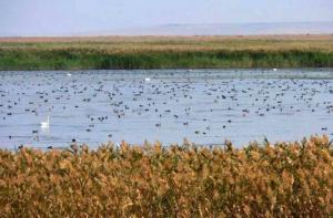 Saryarka - Steppe and Lakes of Northern Kazakhstan